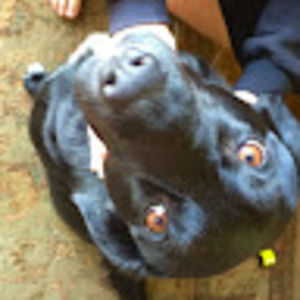 Meet your Posher, Scott